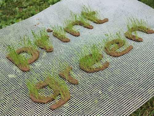 نگاهی به چاپ محیط زیستی، چاپ سبز