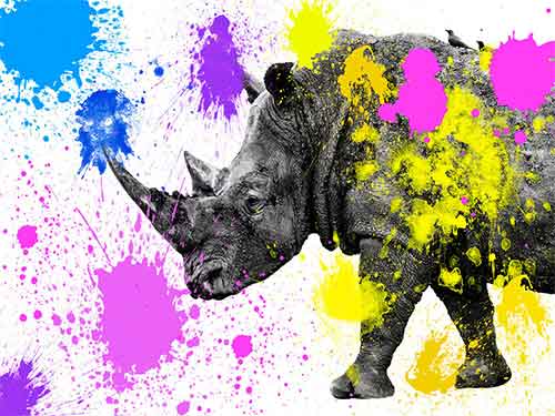 &nbsp;بررسی نکات کلیدی در طراحی گرافیکی برای چاپ موفق&zwnj;تر