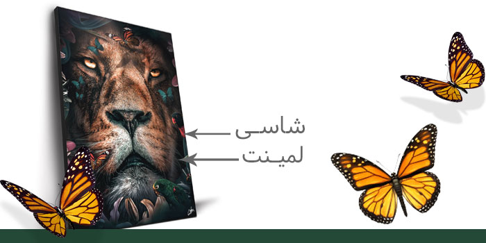 لمینت عکس روی شاسی چیست؟